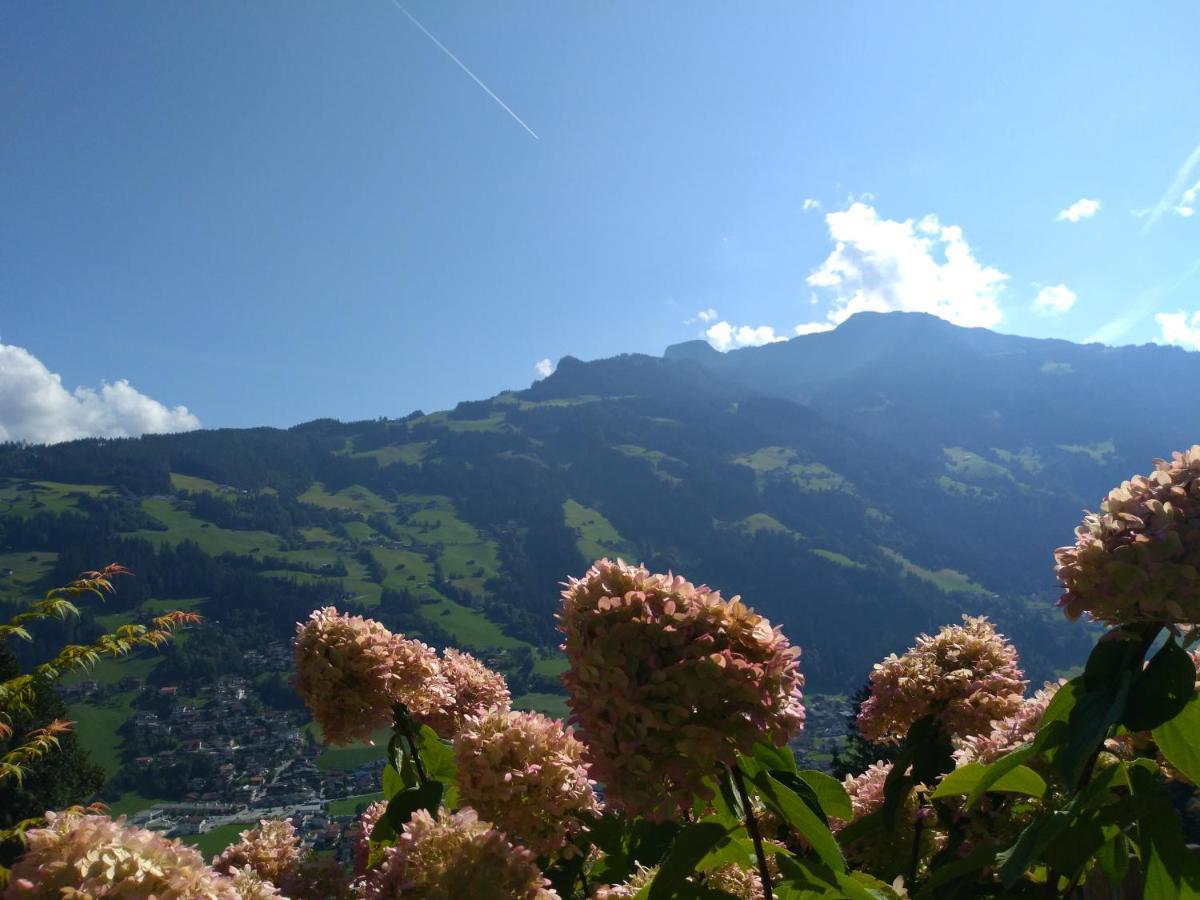 Zillertal Apartment Mit Traumausblick - Haus Kirchler Hippach Exteriér fotografie